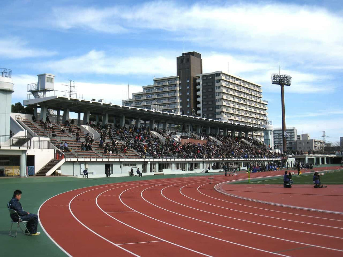 popular japanese sports