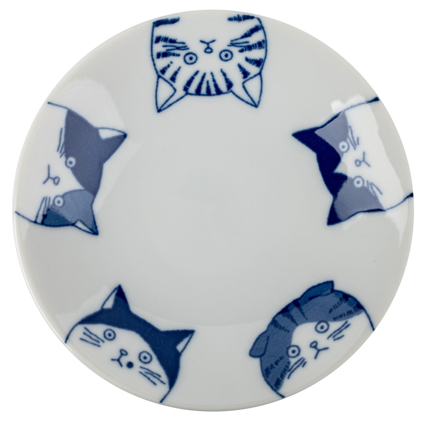 Cute 5 Cats Japanese Large Sauce Dish top