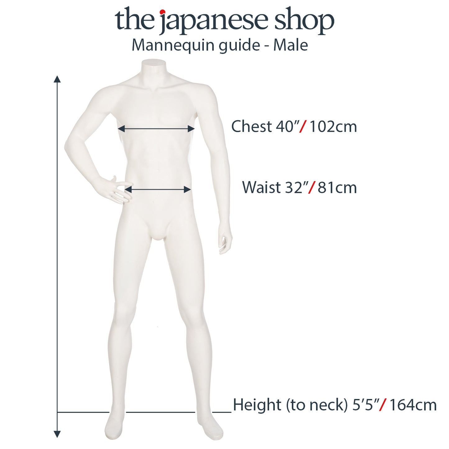 Male Mannequin Size Guide