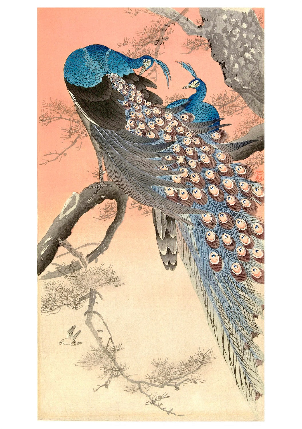 Ohara Shoson Two Peacocks on a Tree Japanese Card
