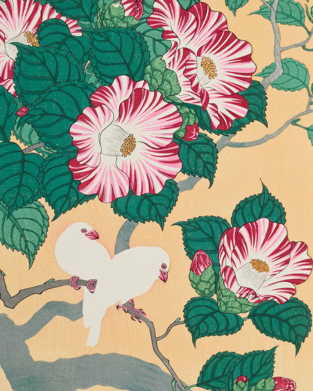 Camellia and Rice Birds