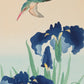 Kingfisher and Iris