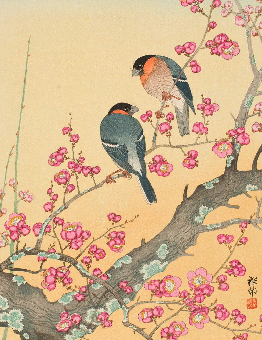 Plum Blossoms and Bullfinch