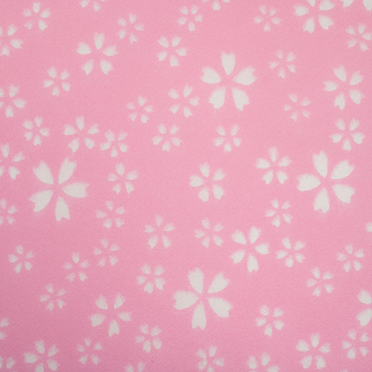 Pink Blossom Echizen Washi Japanese Gift Wrap detail