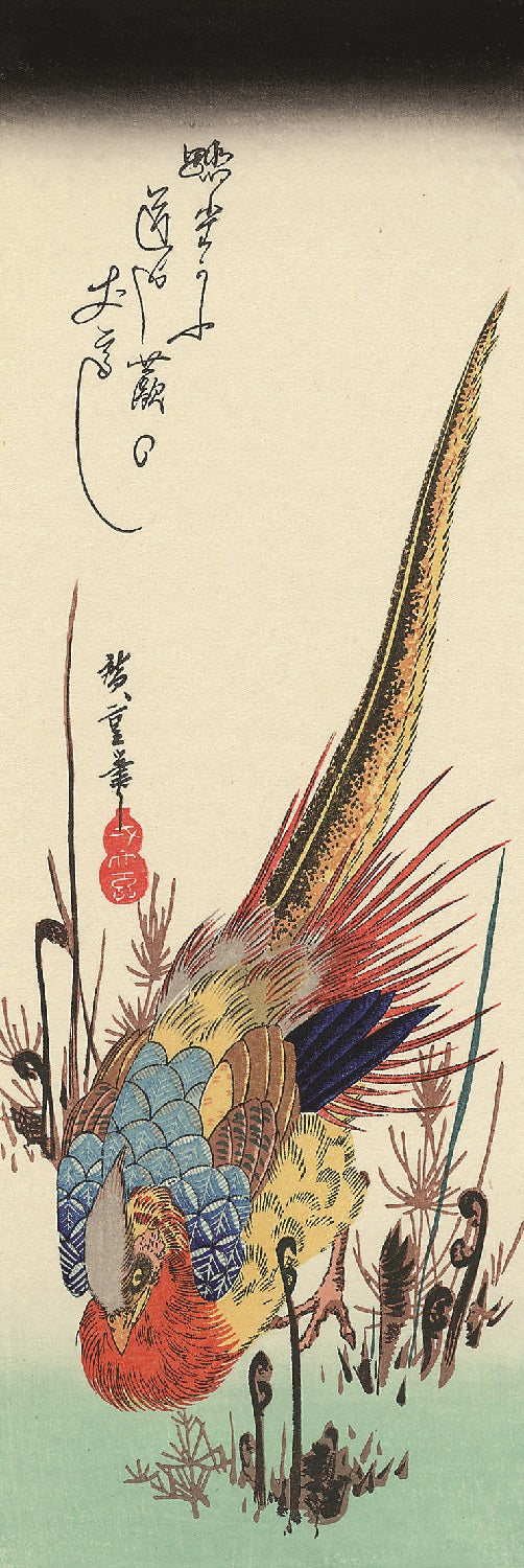Golden Pheasant and Fern Shoots Hiroshige Print