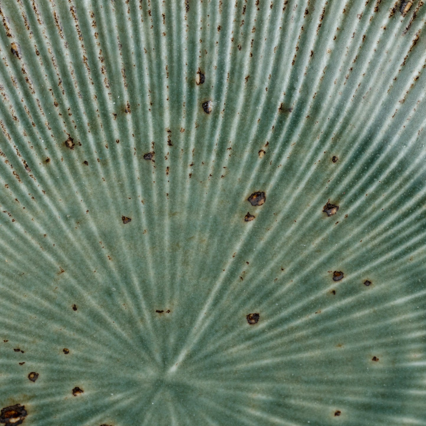Green Wabi Sabi Premium Japanese Side Plate
