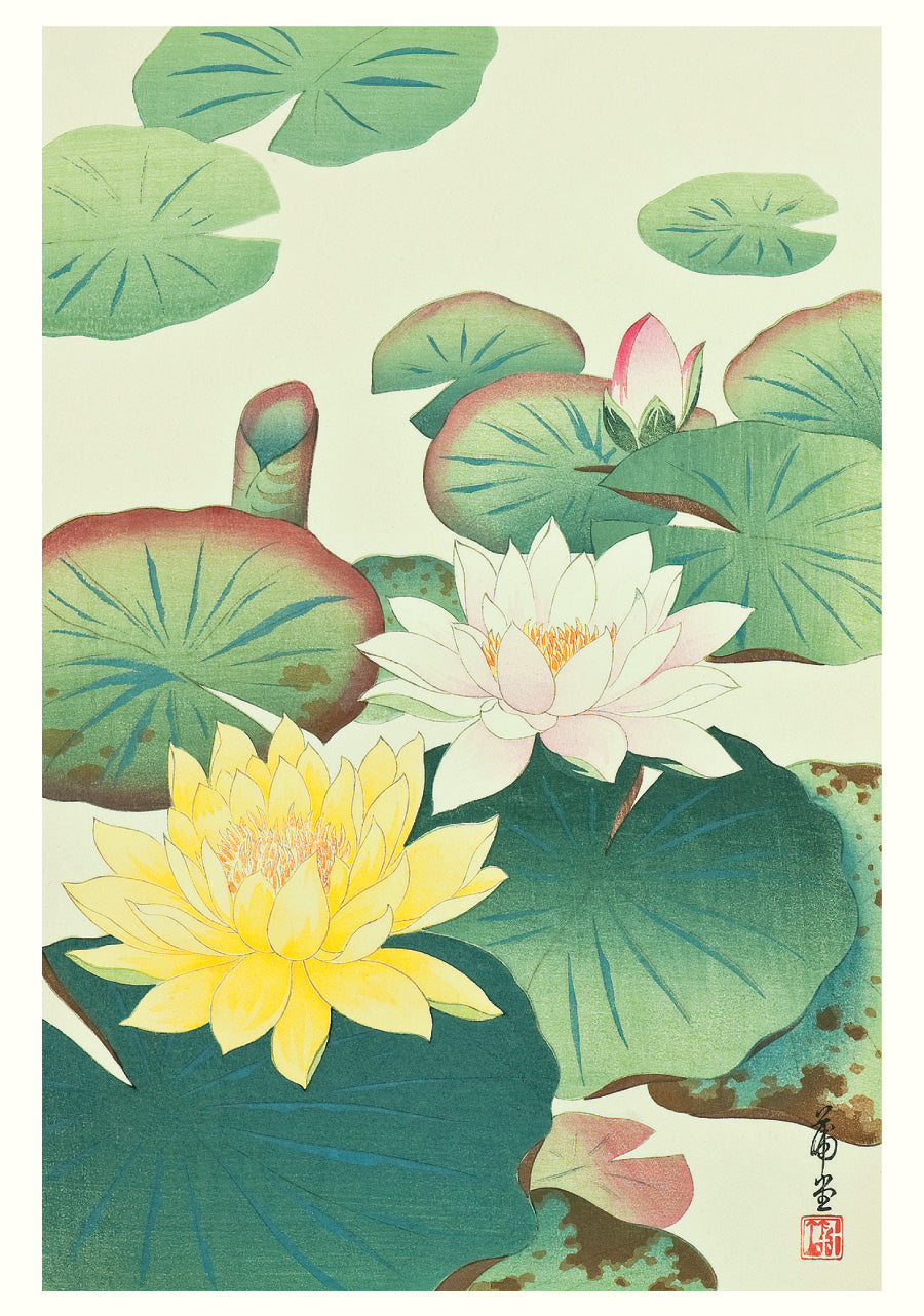 Haiku Art and Poetry Set 20 Japanese Cards
