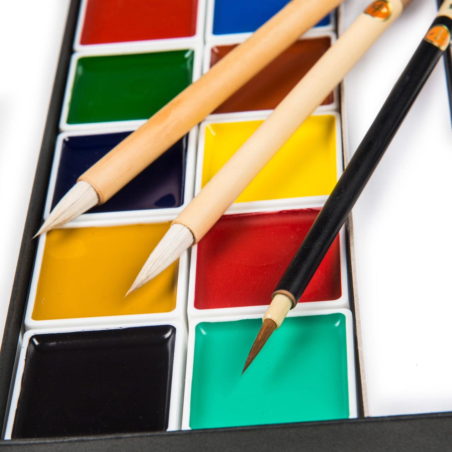 Japanese Watercolour Paint Set and Brushes