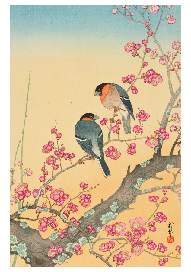 Ohara Shosun Box 20 Japanese Notecards