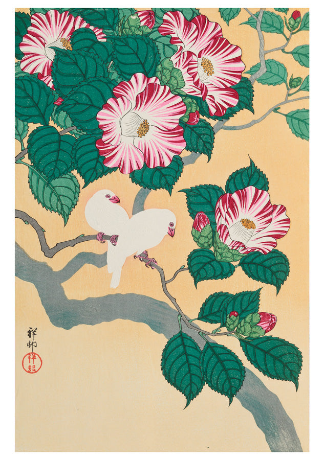 Ohara Shosun Box 20 Japanese Notecards