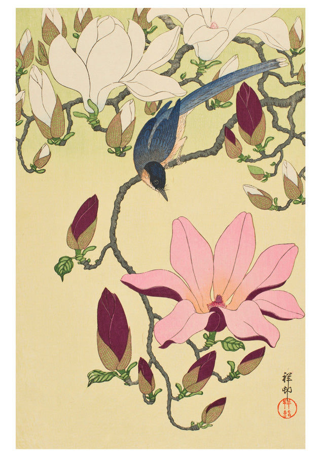 Ohara Shosun Box 20 Japanese Notecards