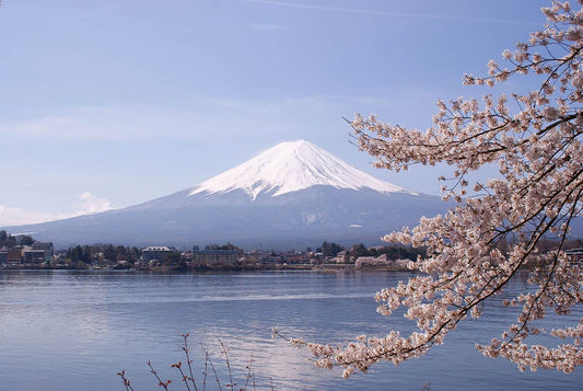 Mount Fuji