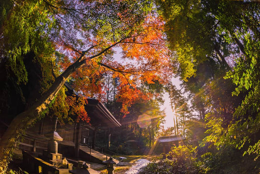 Top 10 Places to View Autumn Leaves in Japan