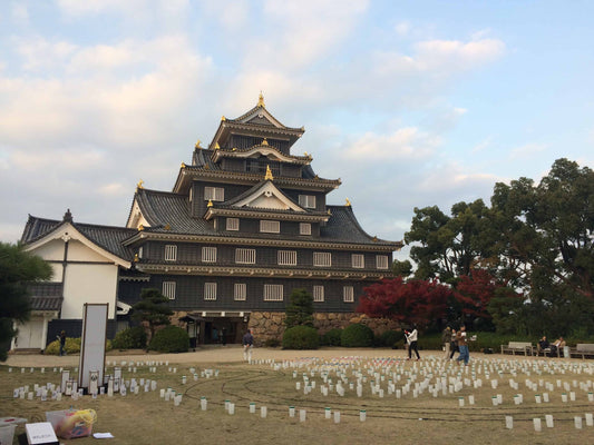 okayama castle