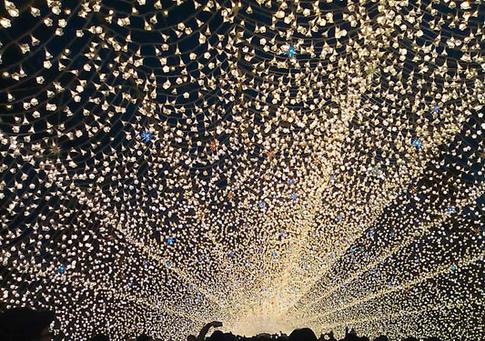 Top 7 Places to See the Winter Illuminations in Japan