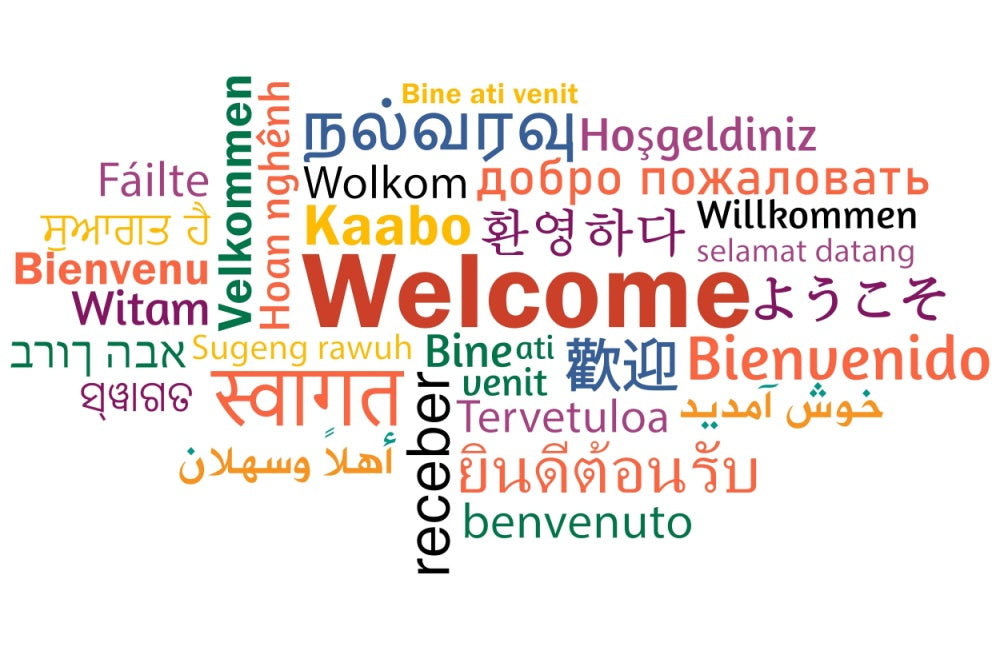 A Taste of the World in Japan: Exploring Japan’s Chinatown, Koreatown and More