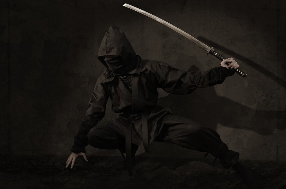 A Guide to Japanese Ninjas