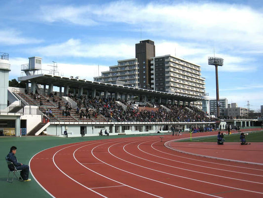 popular japanese sports