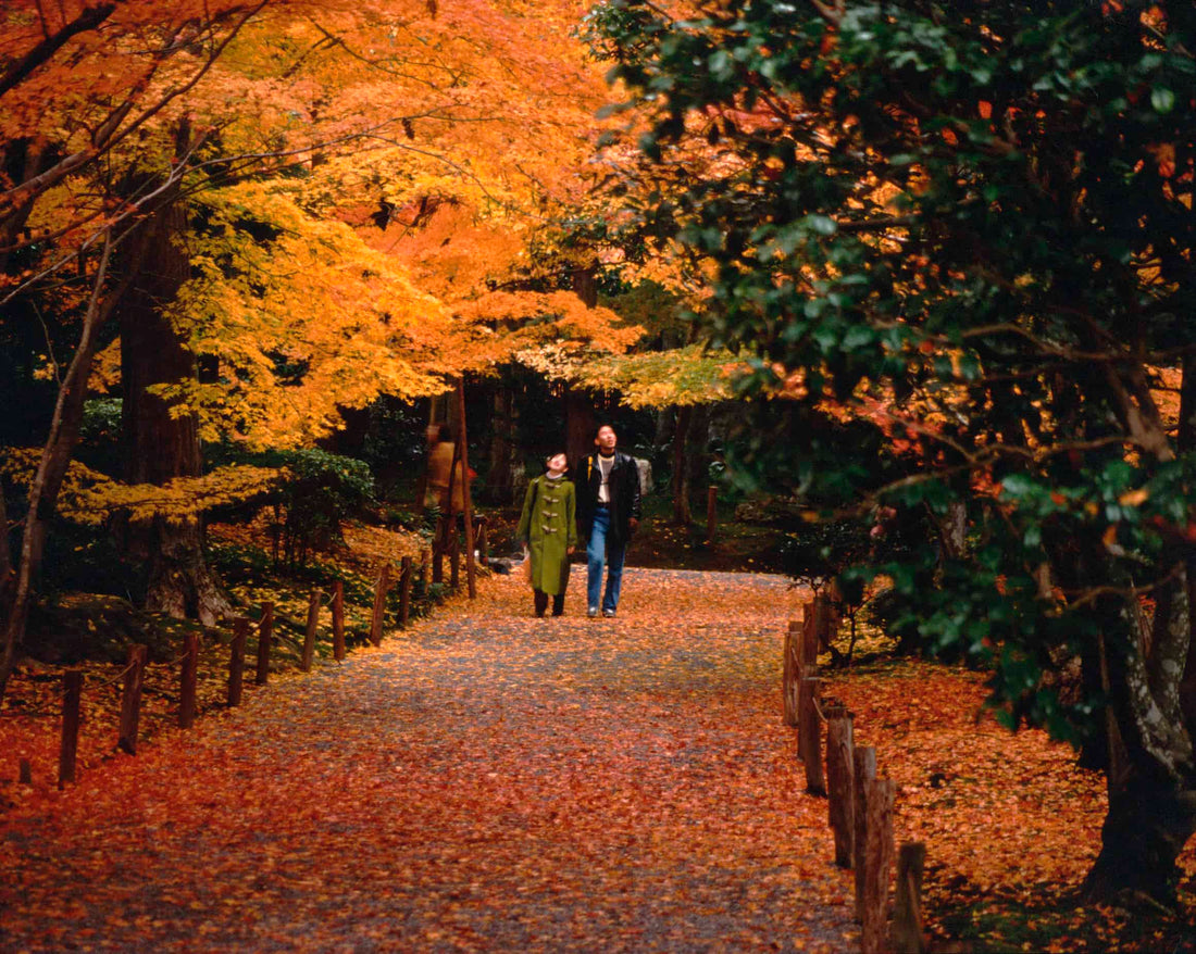 japan-autumn