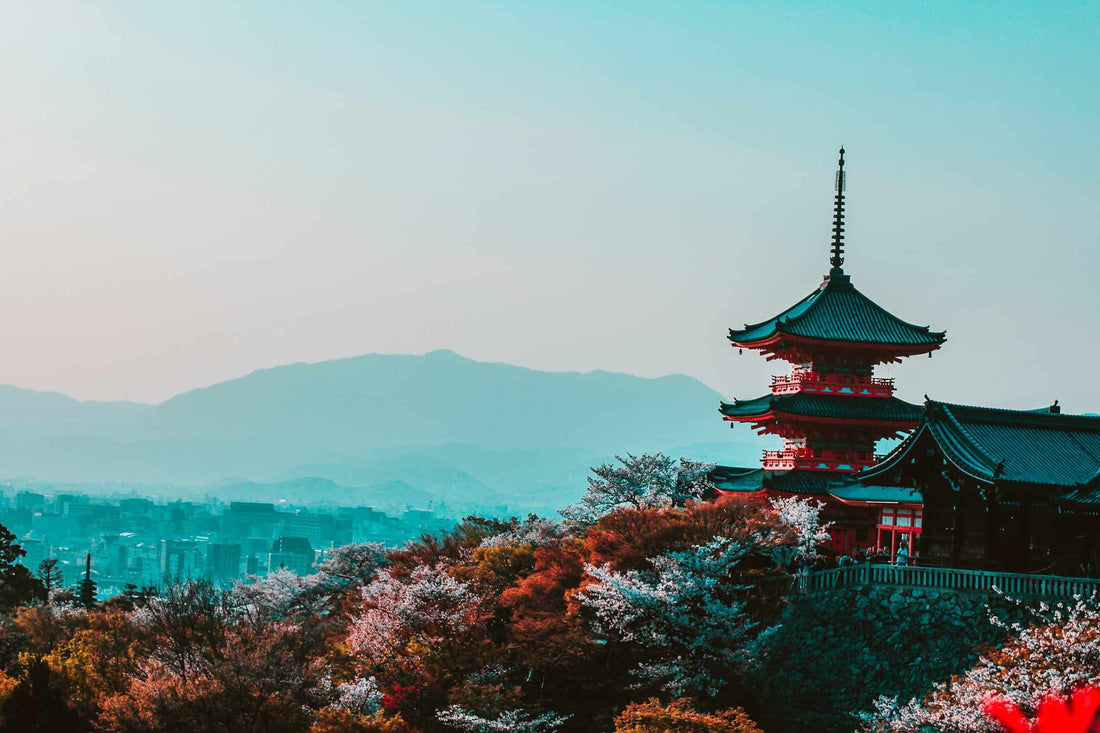 When is the Best Time to Travel to Japan?