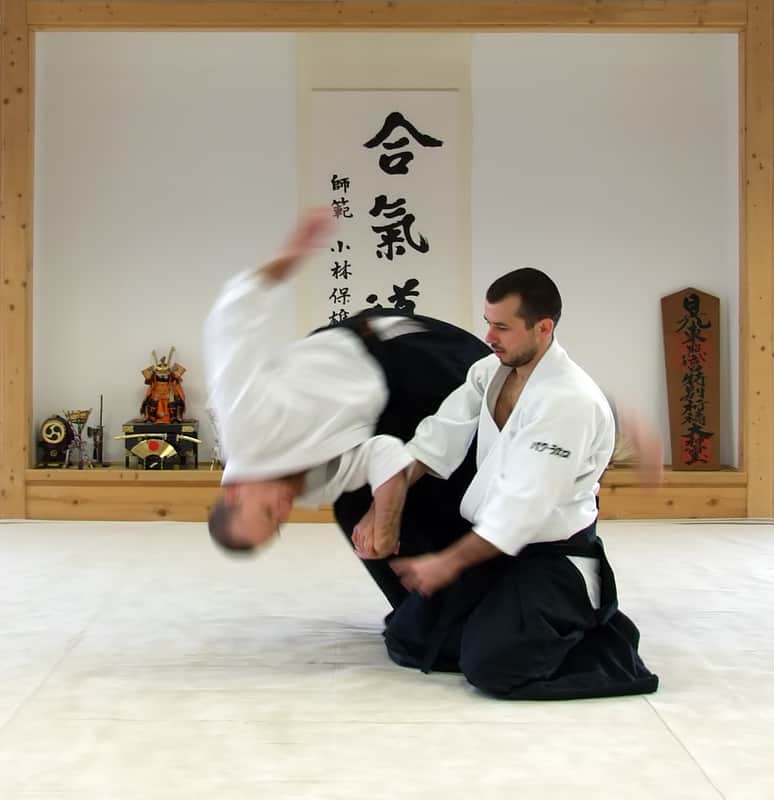 japanese-martial-arts