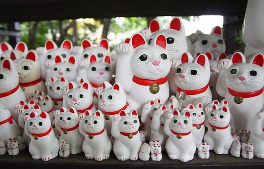 10 Signs that Japan is a Cat Lover's Paradise