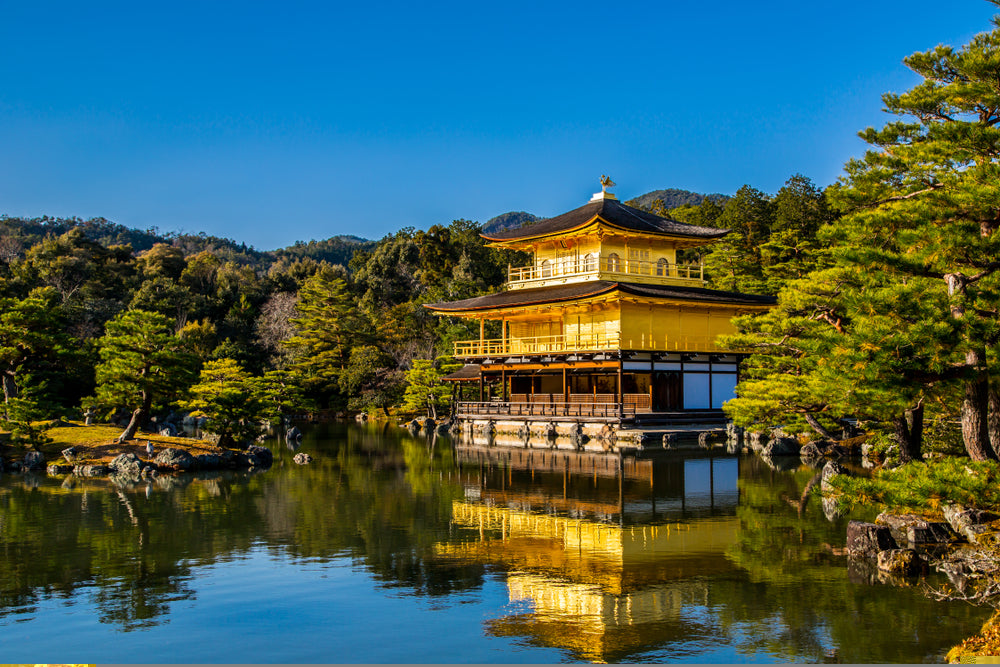 A Kyoto Adventure: Naomi’s Top 4 Experiences from Summer Trip to Japan
