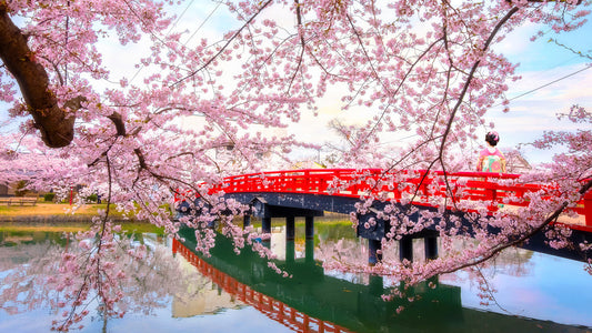 Hanami: Japan’s Cherished Tradition of Cherry Blossom Viewing