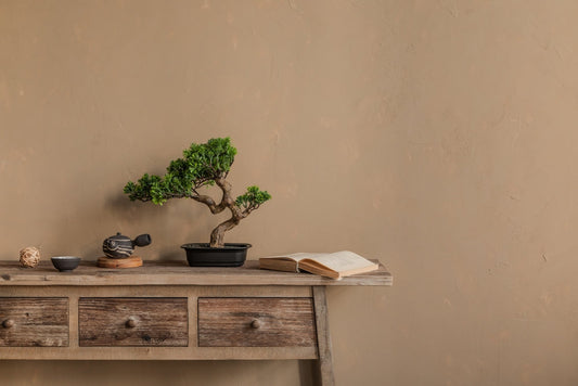Early Summer: Creating a Japanese-Inspired Calm Corner at Home