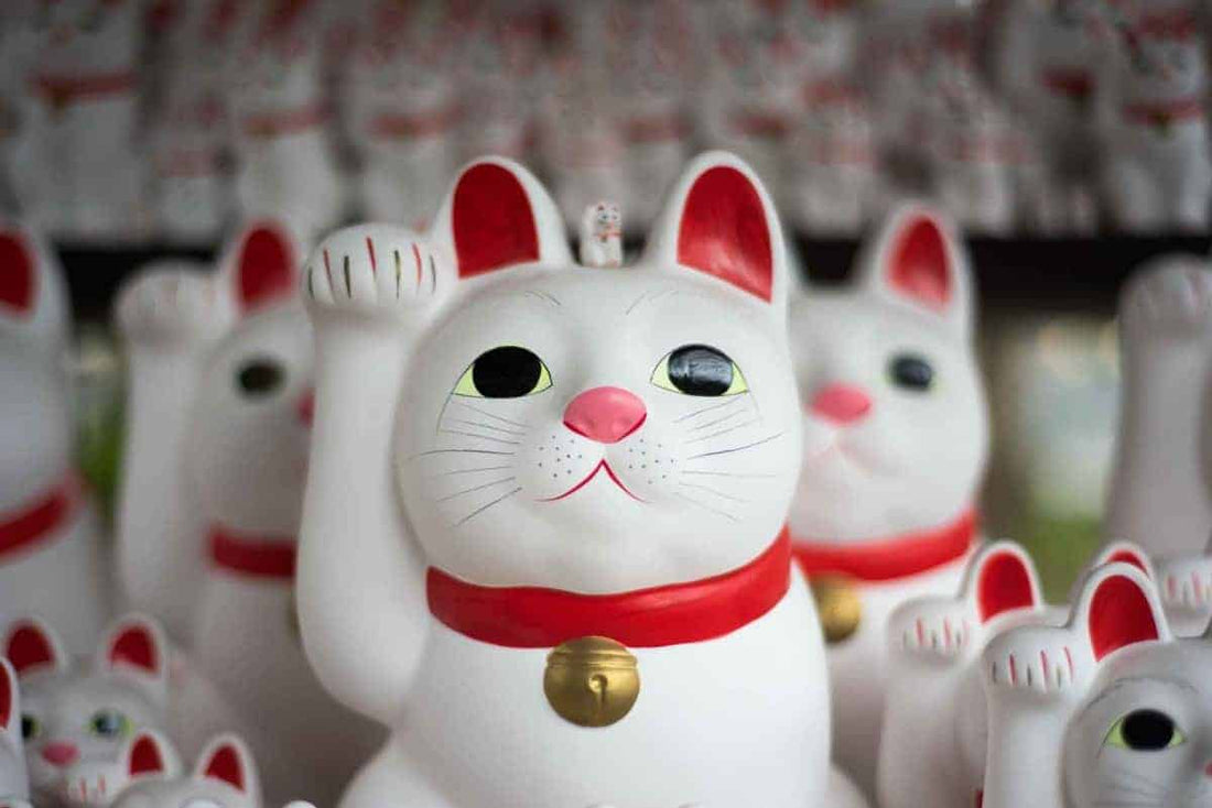 What's So Lucky About Luck Cats