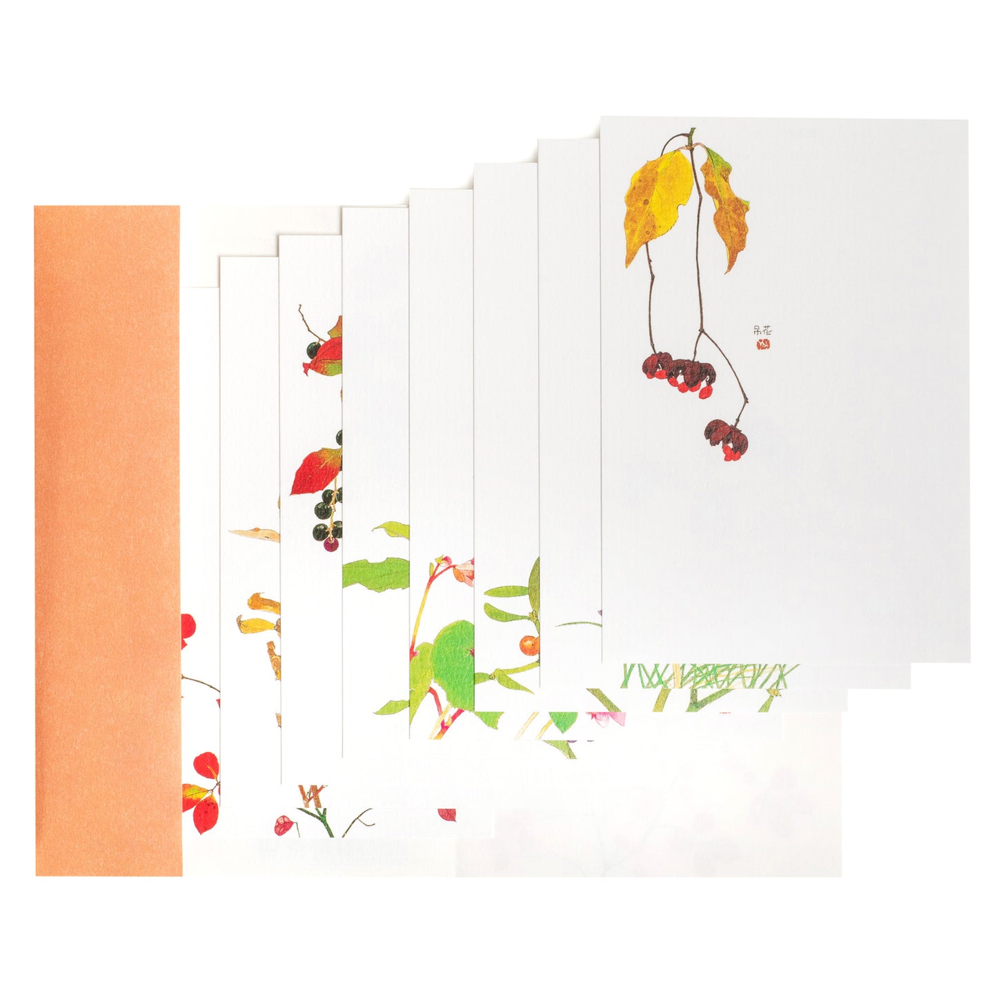Autumn Flowers Pack of 8 Japanese Postcards open