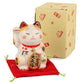 Calico Good Fortune Japanese Lucky Cat on red cushion and gift box