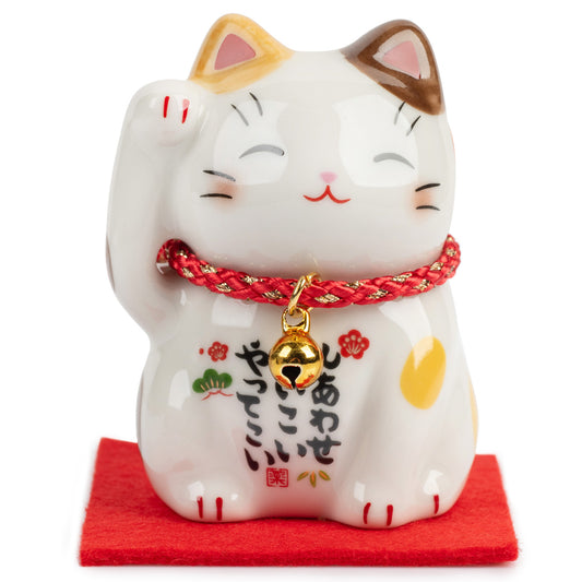 Cute Calico Japanese Lucky Cat and Red Cushion