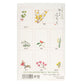 Early Spring Flowers Pack of 8 Japanese Postcards designs