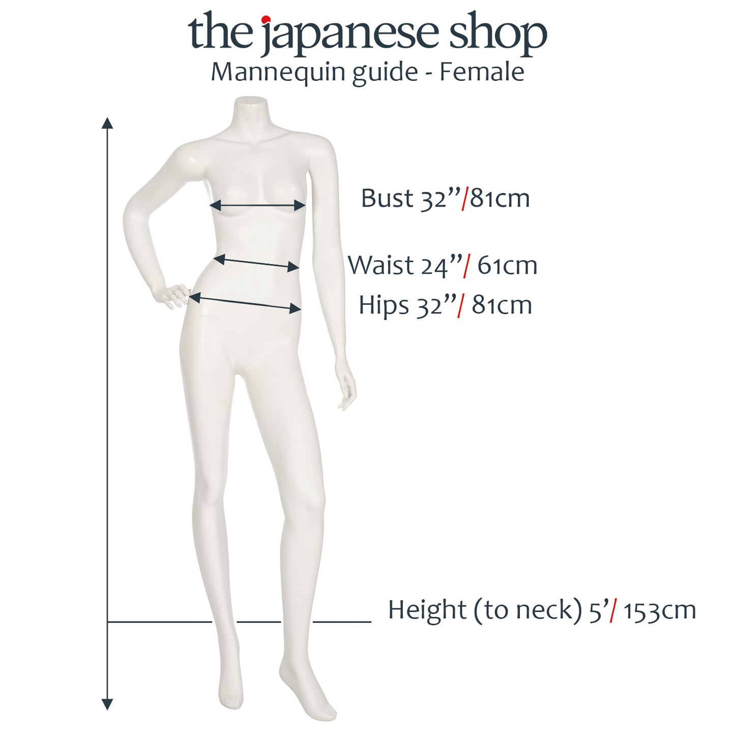 Female Mannequin Size Guide