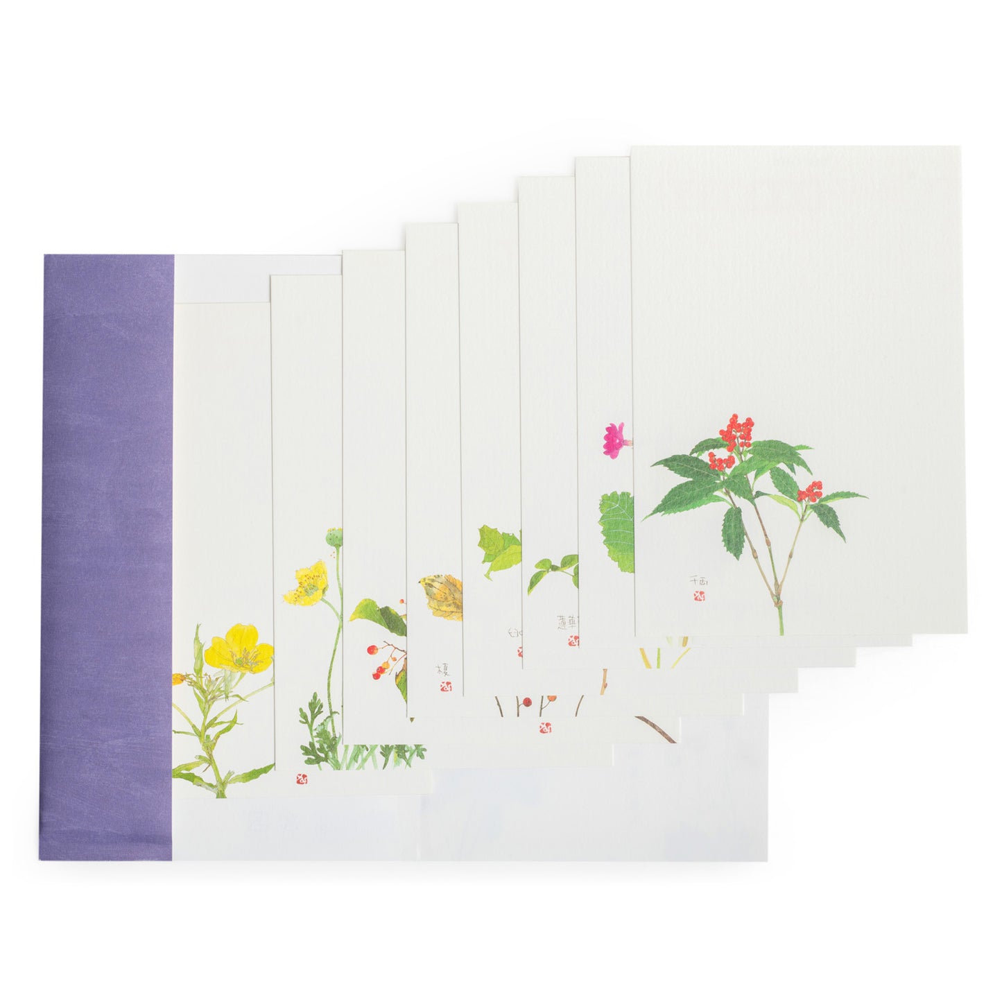Four Seasons Pack of 8 Japanese Postcards range