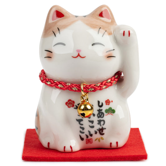 Ginger Tom Japanese Lucky Cat and Red Cushion