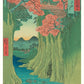 Monkey Bridge in Kai Province