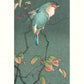 Blue Birds at Night