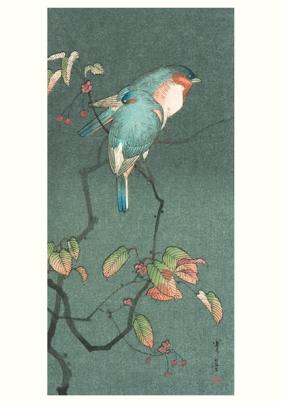 Blue Birds at Night