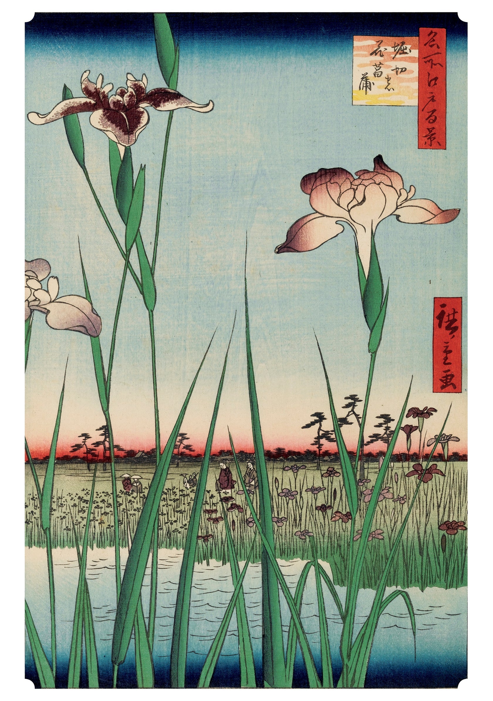 Hiroshige Horikiri Iris Garden Japanese Birthday Card