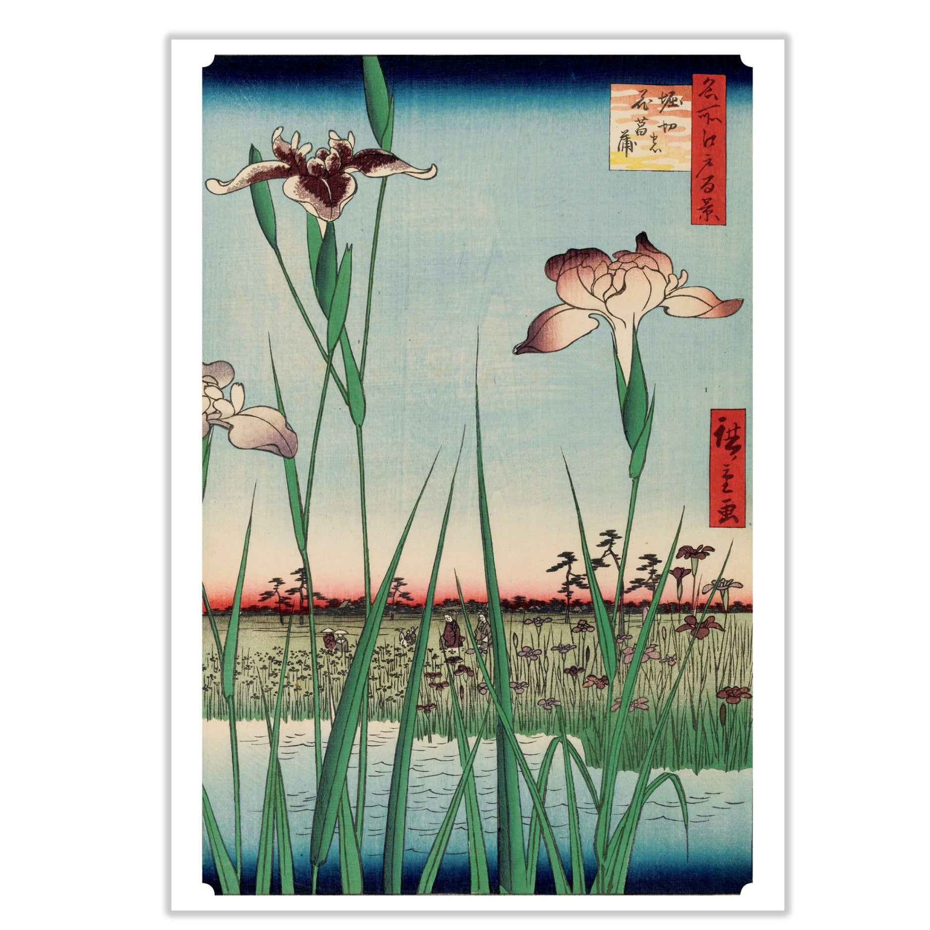 Hiroshige Horikiri Iris Garden Japanese Birthday Card Front