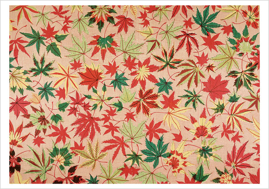 Japanese Maple Leaves