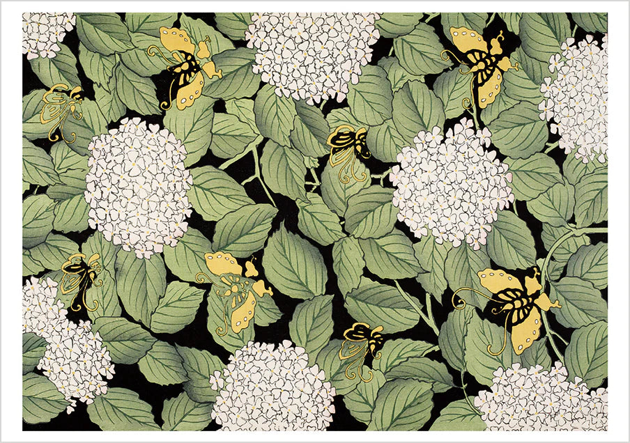 Hydrangeas and Butterflies