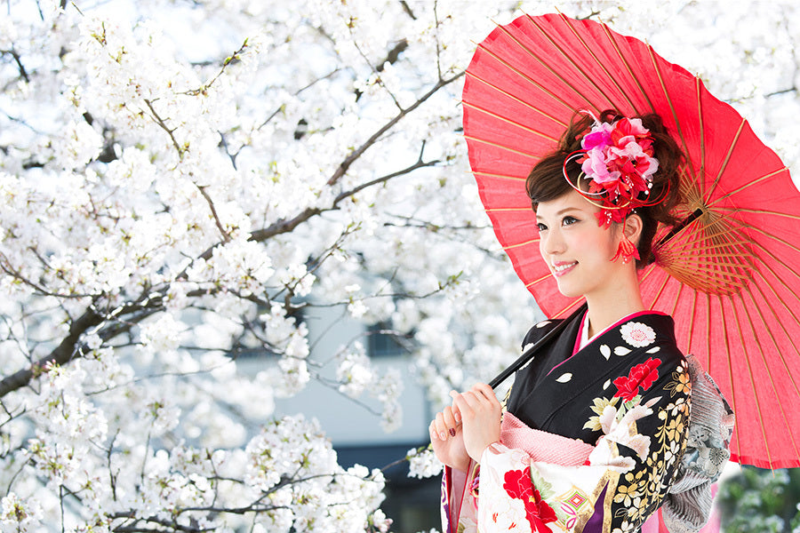 A woman in a kimono with floral hair adornments and holds a red brolly amidst cherry blossoms