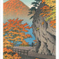 Autumn at Saruiwa Shiobara