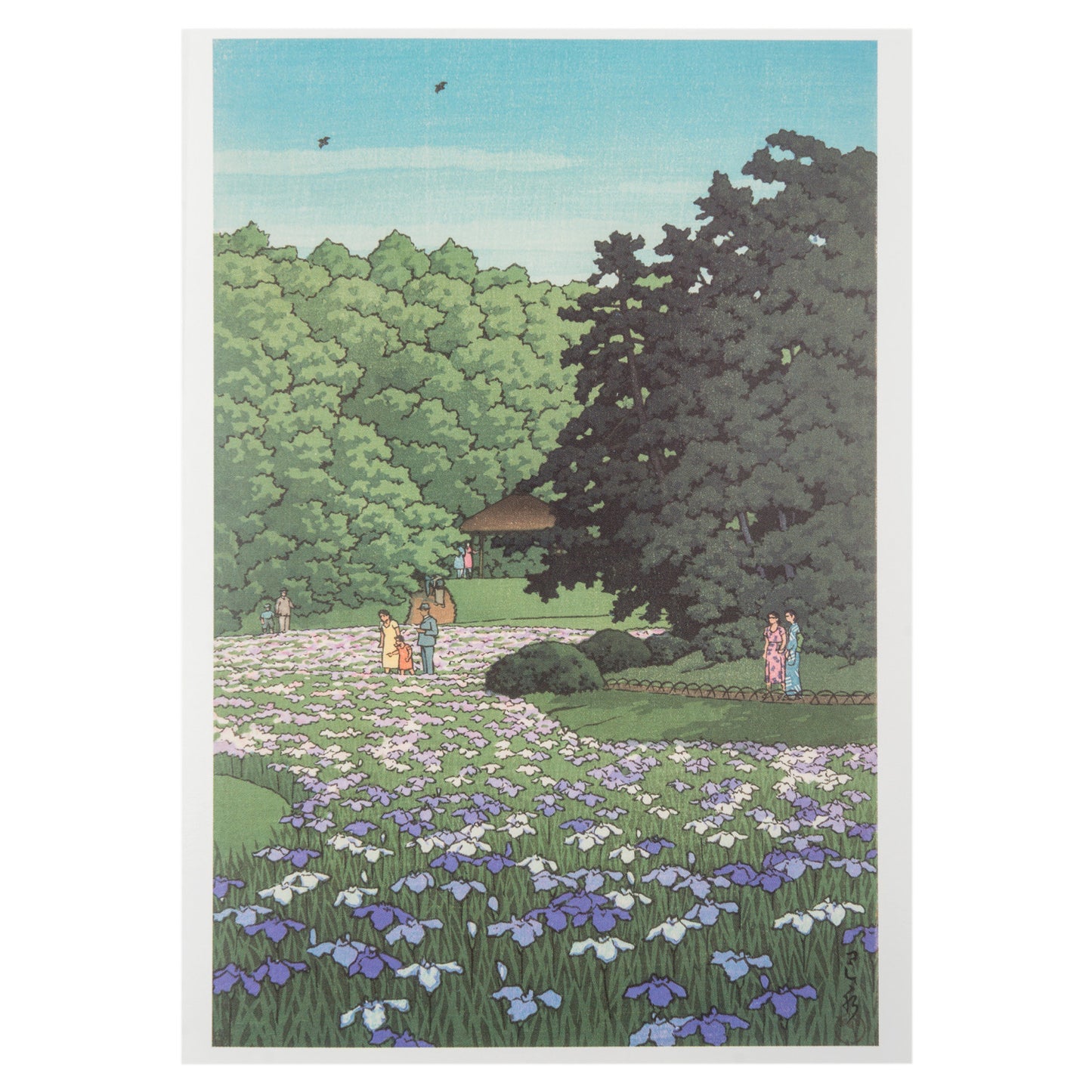 Iris Garden at Meiji Shrine, Tokyo