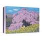 Kazuyuki Ohtsu Cherry Trees Box 20 Notecards 