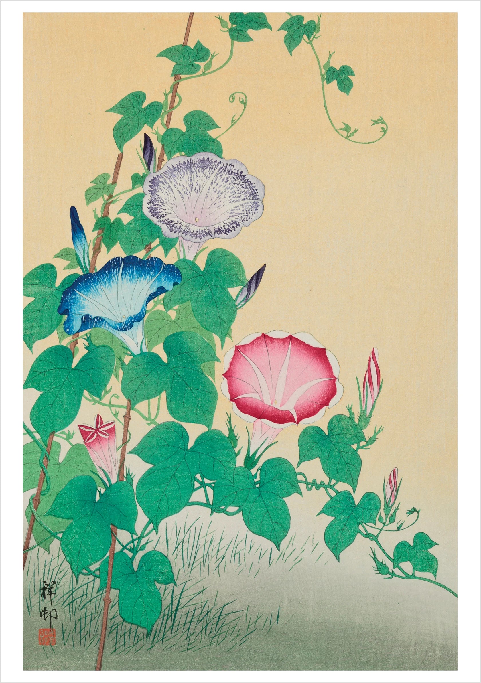 Ohara Shoson Morning Glories Japanese Birthday Card