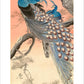 Ohara Shoson Two Peacocks on a Tree Japanese Card